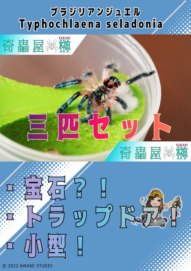 奇蟲屋 榊（タランチュラ通販店）
