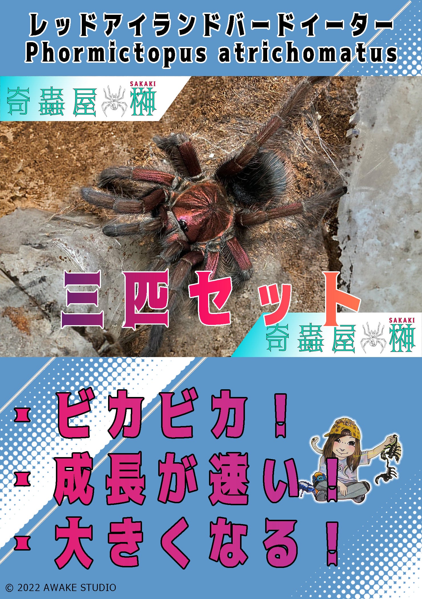 マスカラバードイーター