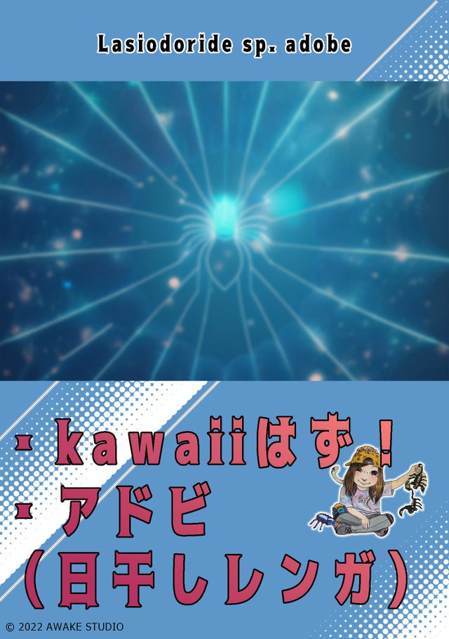 と*け様 新タランチュラ Page & Plant In Japan 6CD+1 奇蟲屋 榊（タランチュラ通販店）