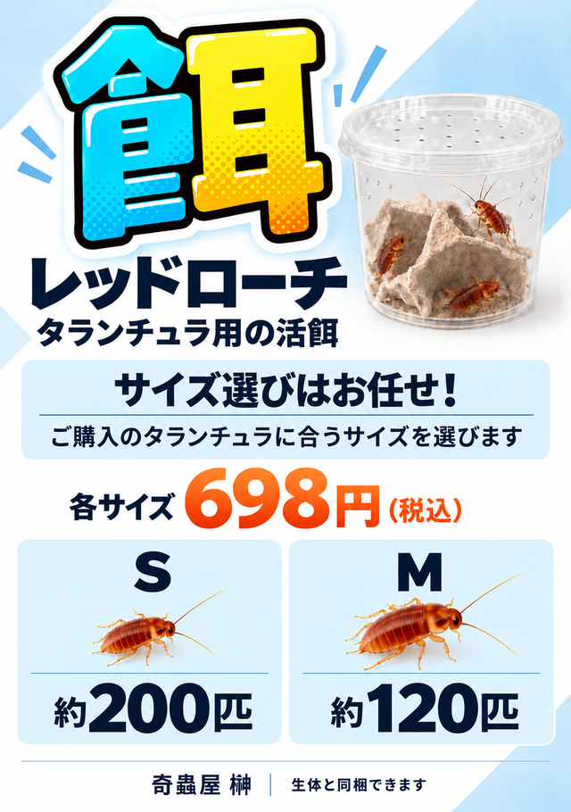 奇蟲屋 榊（タランチュラ通販店）- Japanese Tarantula Online Store