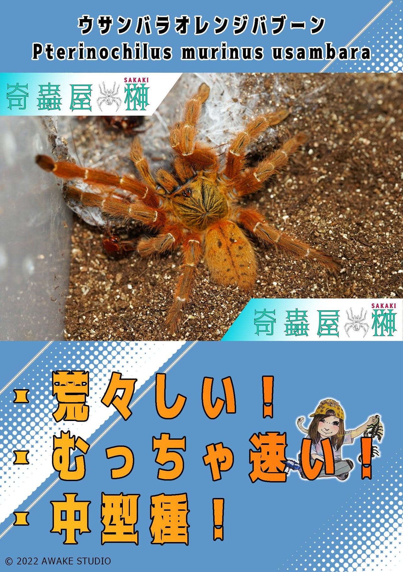 奇蟲屋 榊（タランチュラ通販店）